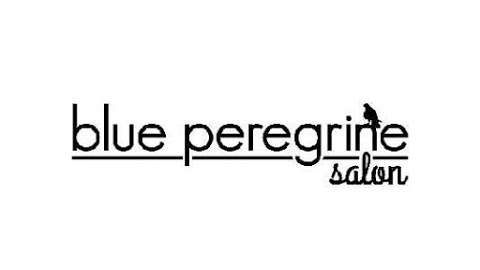 Jobs in Blue Peregrine Salon - reviews